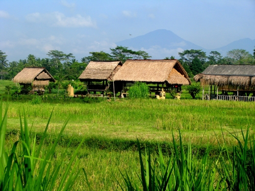 house fields volcano Ubud