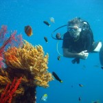 diver on coral reef