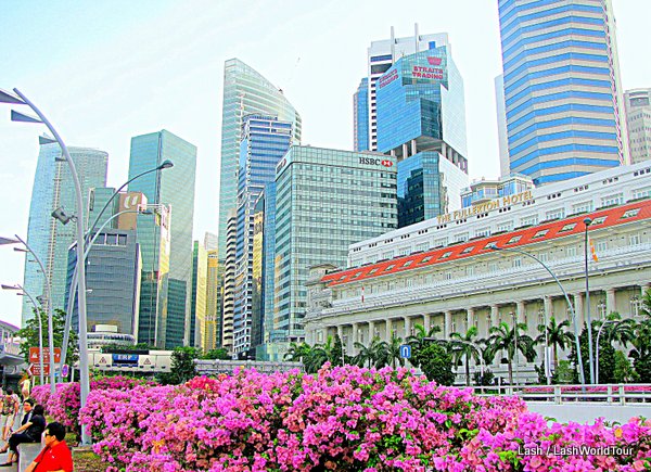 Singapore- financial district skyscrapers and Fullerton Hotel and bougainvillea