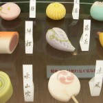 wagashi- Japanese tea ceremony cakes