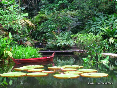 tropical pond- Penang Spice garden
