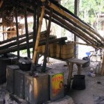 arak distillery - rural Bali