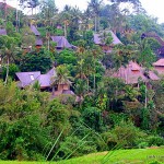 guest houses in Bali - Ubud houses in hills - Bali