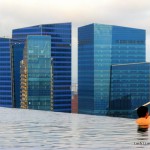 Marina Bay Sands Sky Infinity Pool Park View - Singapore