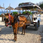 transportation - pony & cart - Gli Meno Island - Lombok - Indonesia