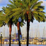 St Petersburg - Florida - marina