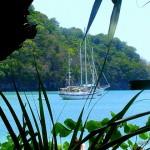 cruise in Langkawi - Sailing Yacht