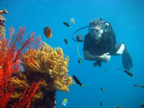 Scuba Diver - photo by Viki Kleyer