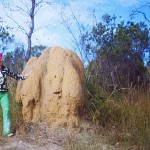 Lash with giant termite mound- Australia