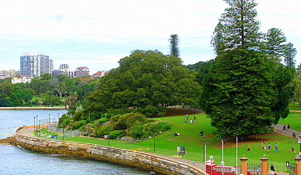 Sydney Royal Botanic Gardens