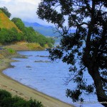 here's one of my photos of Coromandel Penninsula