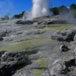 Pohutu Geyser - Te Puia - Rotorua - new Zealand