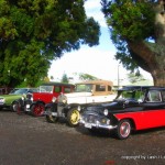 Vintage car rally in New Zealand