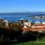 Wellington - view from Botanic Gardens