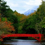 Mt Taranaki from New Plymouth's landscaped gardens