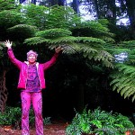 LashWorldTour with giant tree ferns - Pukekura Park - New Plymouth