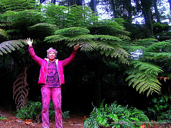 LashWorldTour with giant tree ferns - Pukekura Park - New Plymouth