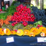 fresh veggies at Noosa Market