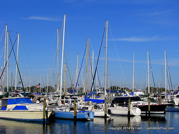 yachts at St Pete marina