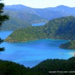 Marlborough Sounds - New Zealand