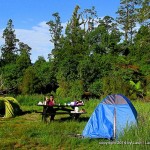 camping in Westland NP with Helene