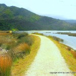 Start of Abel Tasman Coast Track - New Zealand