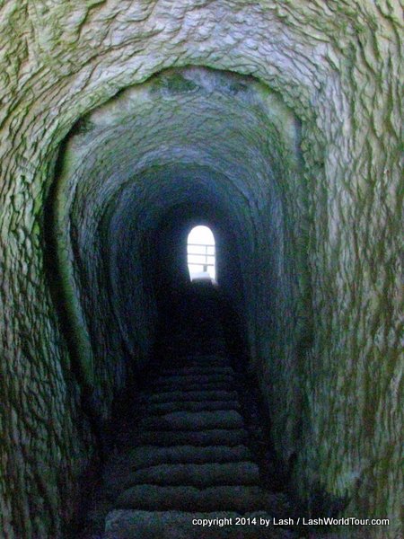 Photos of Tunnel Beach - Dunedin