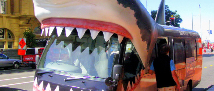 Shark Bus in Auckland New Zealand