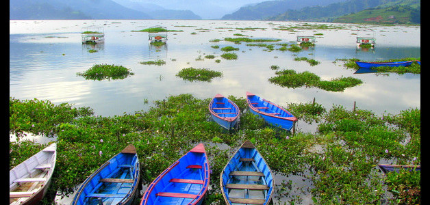 Phewa Tal - Pokhara - Nepal