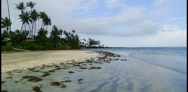 Playa Sardinera beach on north coast of Puerto Rico