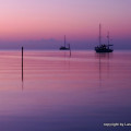Calm Belize sunset over sea in lavender